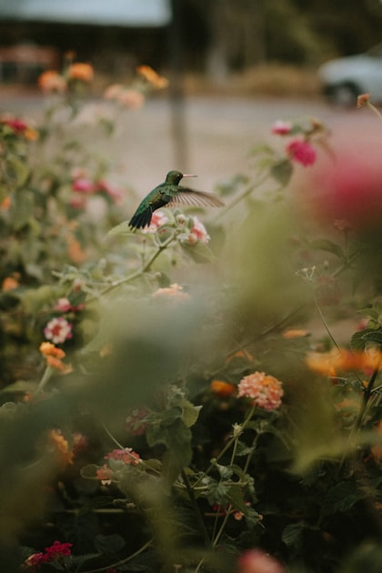 Sustainable Tourism Practices in Arizona